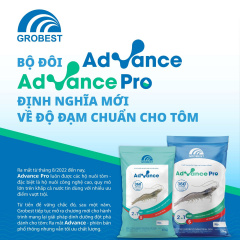 Bộ đôi Advance và Advance Pro: Định nghĩa mới về độ đạm chuẩn cho tôm